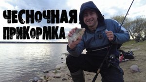 Минское море! Ловля карася весной. Прикормка на карася с чесноком. ТАК ВОТ ОТ ЧЕГО Карась ДУРЕЕТ!