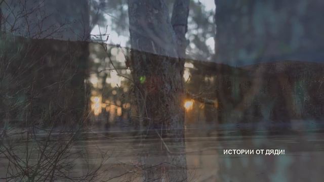 С МОЛОДОЙ НЕВЕСТКИ ЖЕНИХА СНИМАЛИ ТРУСИКИ ЗА ДЕНЬГИ Жизненные истории.Аудио рассказ