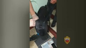 Задержан подозреваемый в покушении на сбыт героина и метадона