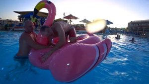 Египет 2019 Шарм-Эль-Шейх, Отель Royal Albatros Moderna 5* Обзор и отзыв.