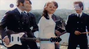 Czerwone Gitary - Nie zadzieraj nosa w kolorze