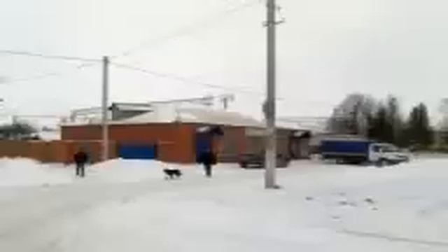 gorshechnoe.3gp смотреть онлайн