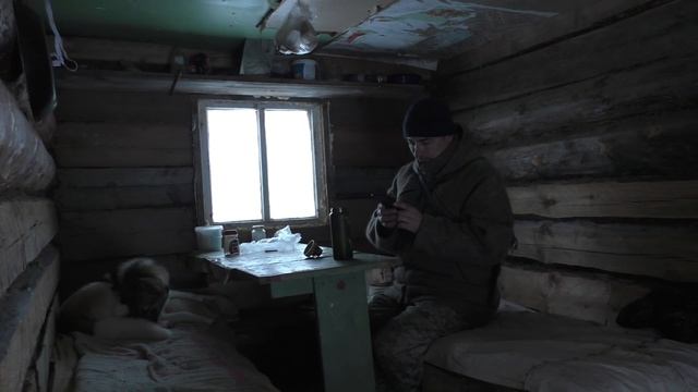 ПРОБИВАЮСЬ ДО ИЗБЫ НА СНЕГОХОДЕ СМ-002. ОХОТА НА БОРОВУЮ ДИЧЬ С СОБАКОЙ. ТАЙГА КОМИ. смотреть онлайн