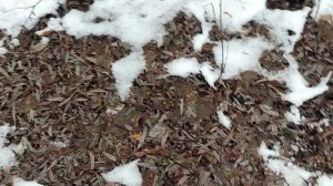 ПОИСК ЗОЛОТЫХ САМОРОДКОВ ,РАЗВЕДКА НОВЫХ МЕСТОРОЖДЕНИЙ!!!