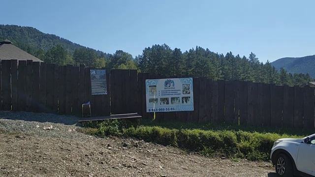 питомник хаски сибирская легенда в камлаке