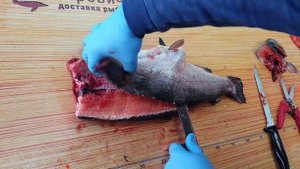 Как разделать непотрошеную форель под засолку?