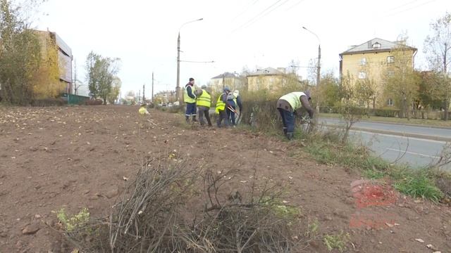 Без труда на Ветерана труда В Иркутской области изменились правила присвоения почетнеого звания смотреть онлайн