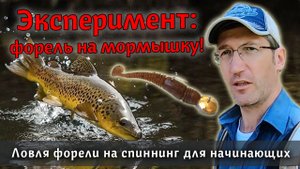 А вы ловили ФОРЕЛЬ на МОРМЫШКУ? Провожу эксперимент! Как поймать форель | Мормышинг на горной реке