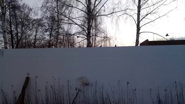 Зеленоградский канал. смотреть онлайн