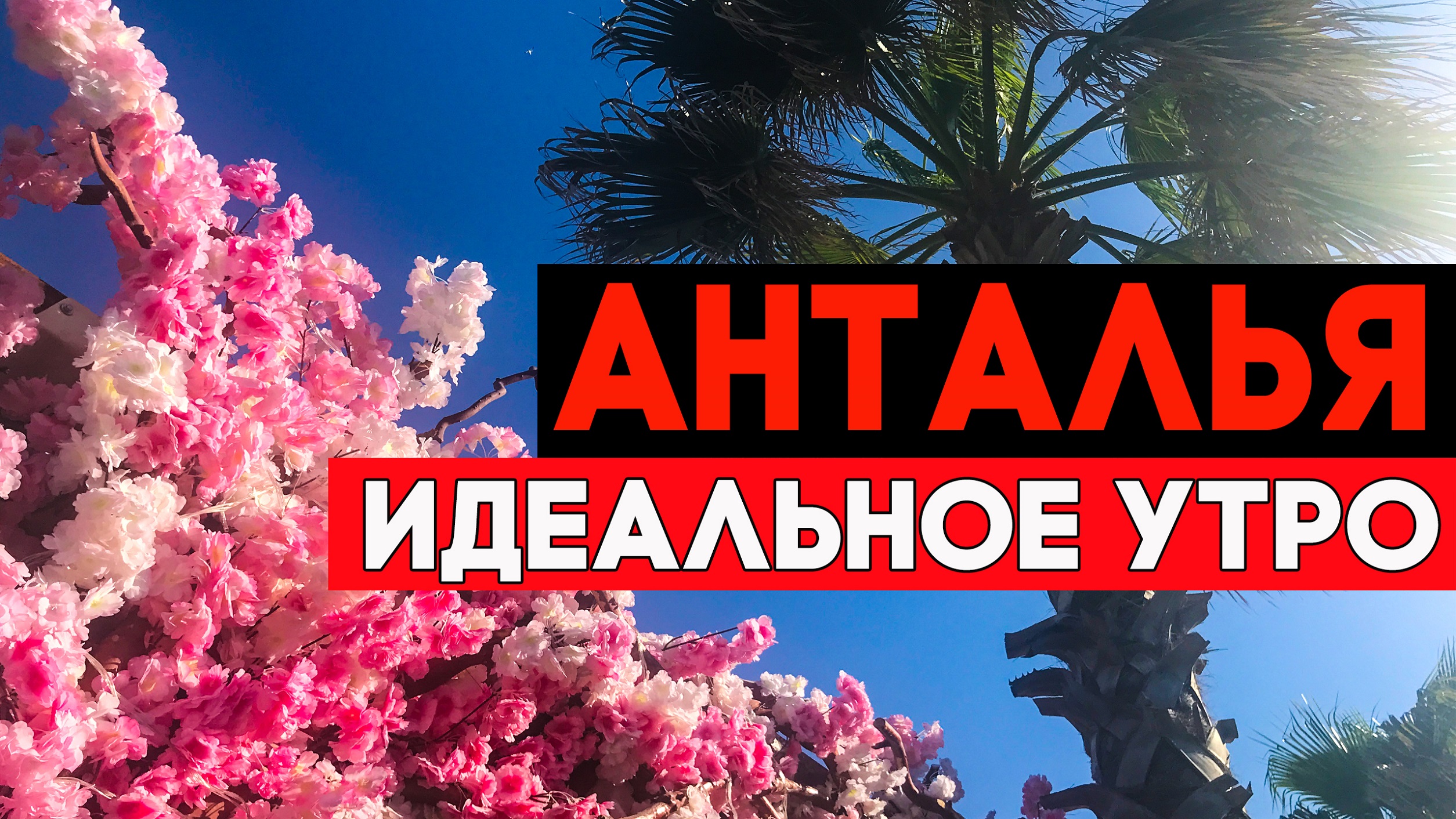 Анталья. Идеальное утро пакетного туриста в Турции