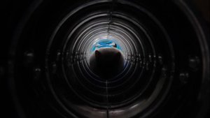 ?Hamster Escapes Prison Maze: The Great Escape with Fly? for Pets in real life