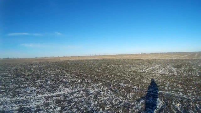 ОХОТА НА ЗАЙЦА смотреть онлайн