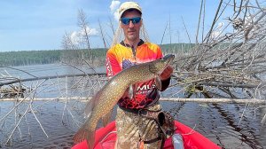 ЗДЕСЬ ЛЕС ВАЛИТ ЩУКА!!! И НЕ ТОЛЬКО...