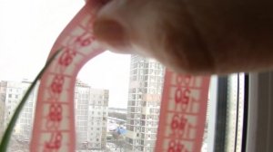 ТАКОЙ ЛУК У МЕНЯ ЕЩЁ НЕ РОС