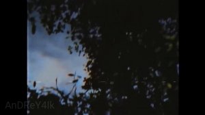 Звуки транслируемые Сиреноголовым / Звуки Сиреноголового / Звуки которые издаёт Сиреноголовый часть