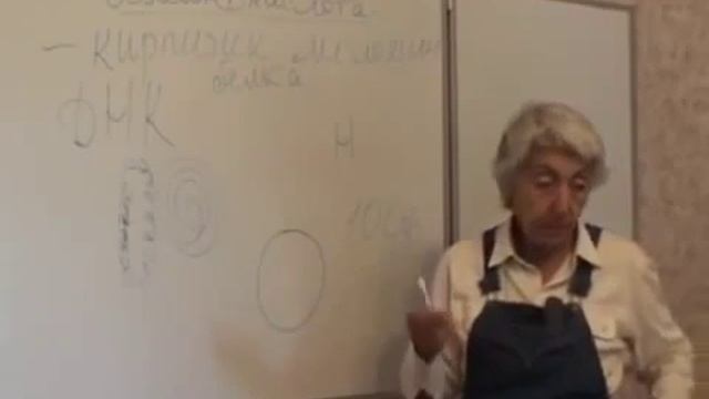 Марва Оганян, Одинцово 2010  Большая лекция часть 1