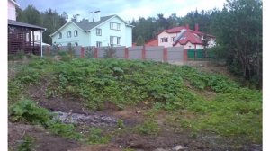 Построили пруд на месте старого оврага. Ландшафтный дизайн.