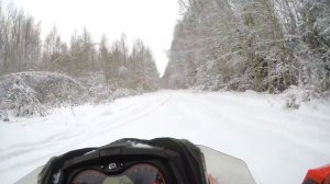 Катаем на снегоходе BRP Renegade по лесу и полю