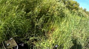 Осенняя рыбалка.Ловля крупного карася на донку с кормушкой