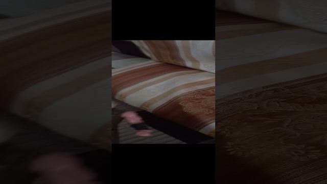 обзор