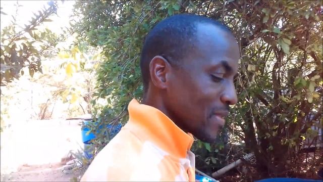 CULTURING TUBIFEX WORMS TO FEED AQUARIUM | POND FISH смотреть онлайн