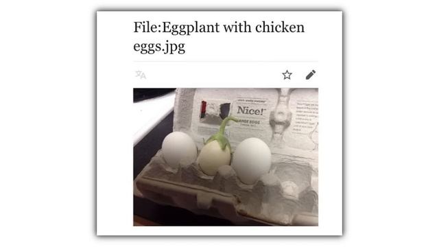 Wikipedia Memes смотреть онлайн