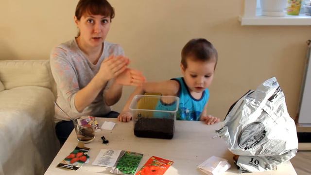 Садим рассаду в феврале 2018г. смотреть онлайн