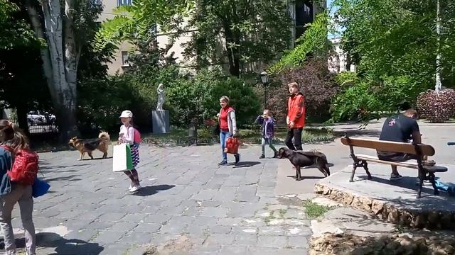 Одесса. Воскресенье. Тещин мост. Достопримечательности Одессы.