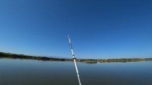 ЛОВЛЯ ЗМЕЕГОЛОВЫ НА ЗАКИДУШКИ с берега .Бешенный клев отличный отдых.