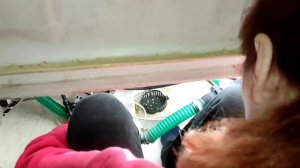 Подготовка катера к сезону. трюмные помпы