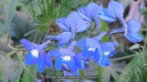 Почему в Петербурге пациенты вынуждены платить в государственных стоматологических поликлиниках