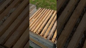 30 июня 2024 г.