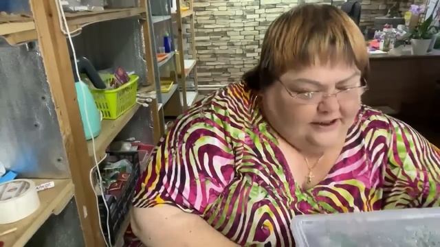 результат укоренения #гортензииметельчатые