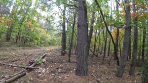 BLACK DECKER - аккумуляторная дисковая пила # пилит брёвна как по маслу