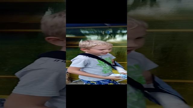 VID_20230804_142036.mp4