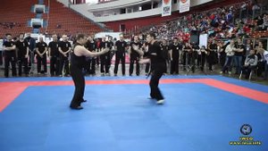 Leonid Smirnov (IWCO) - "КУБОК МИРА" СПб-2015 Номинация: Dui Chak.