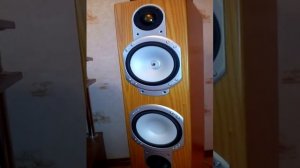 Аудио 6 Тест Напольные колонки Monitor Audio RS6