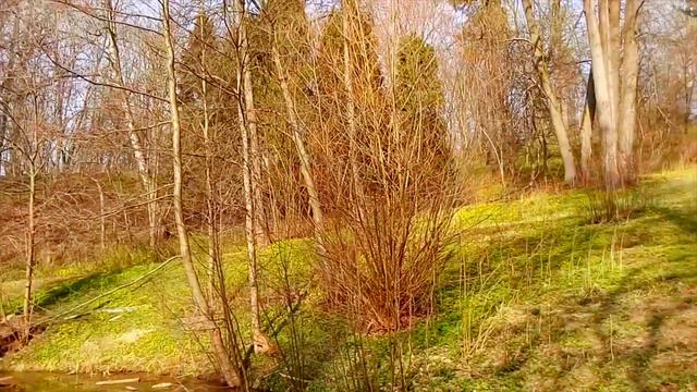 Одиночество - незабываемые моменты побыть с собой. Слушай и вдохновляйся! смотреть онлайн