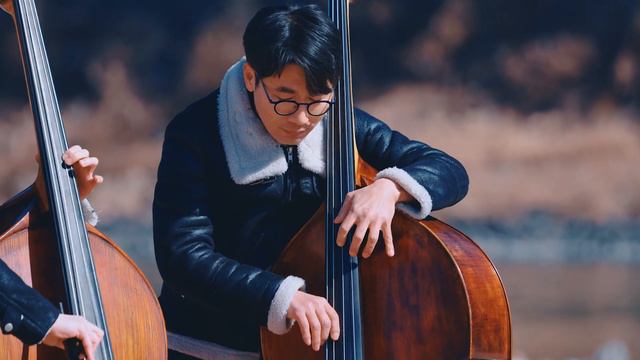 Vivaldi Winter Double Bass