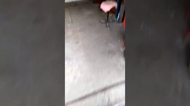 Шкода октавія тур 1,6 bfq, плавают обороти,рішеня просто... смотреть онлайн