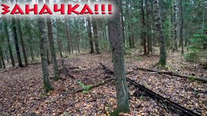 ВЫВОЗИМ ИЗ ЛЕСА МЕТАЛЛОЛОМ! КОП МЕТАЛЛА!