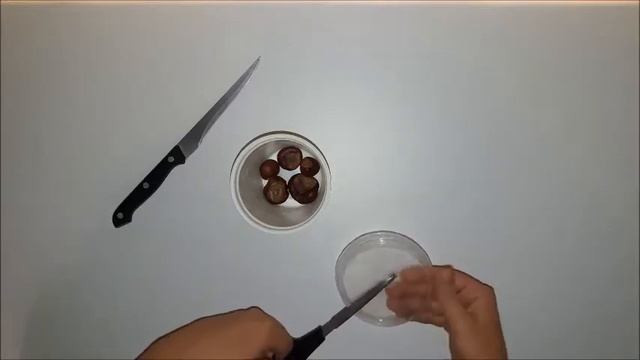 Для матулi i для дзiцяцi. Простая iдэя для гульнi з каштанамi