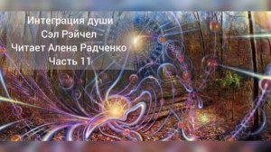 Интеграция души Сэл Рэйчел. Читает Алена Радченко  . часть 11