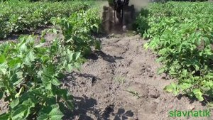 Обзор грунтозацепов для мотоблока I ЧП Крючков