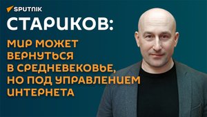 Стариков: мир ждет "новое средневековье с интернетом"
