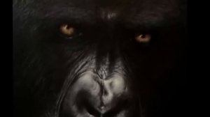 INCREDIBLE MOUNTAIN GORILLA PAINTING "When Paintings Come Alive"c