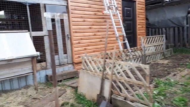 Козы опять у козла. Делаем выгул для коз. Чёрное сено. смотреть онлайн