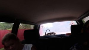 VLOG Птенцы ЛАСТОЧКИ прям у двери . Вернулись домой