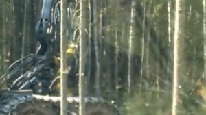 валка леса харвестер