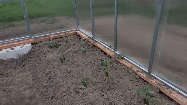 Места моего детства / Собираем теплицу / Покупки и подарки смотреть онлайн